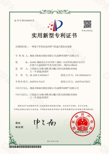 一种基于罗茨发电的燃气管道内置发电装置-实用新型专利证书